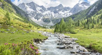 Sommerurlaub in den Alpen
